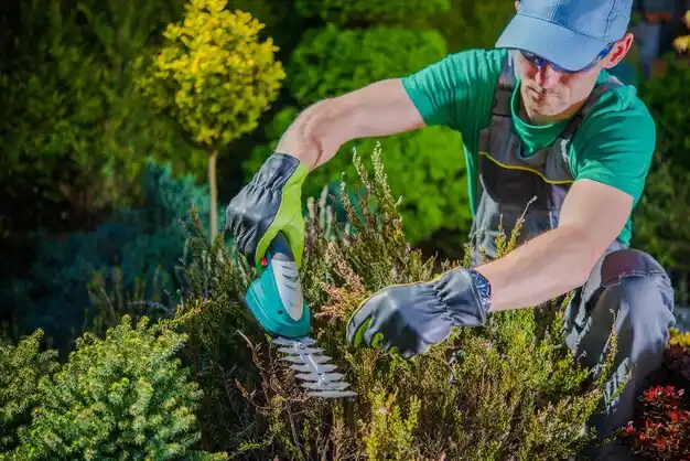 landscaping services Caroga Lake